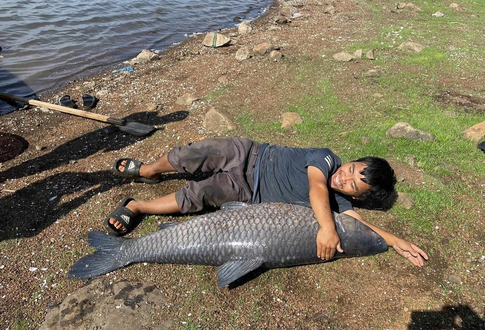 Tram den 36 kg anh 3