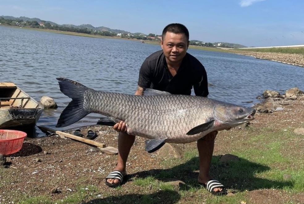 Cau duoc ca tram den 'khung' hon 36 kg o Buon Ma Thuot hinh anh