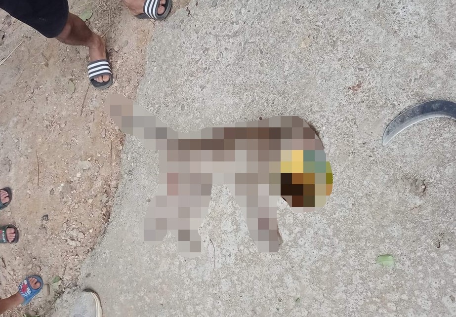 Cho can chet khi anh 1