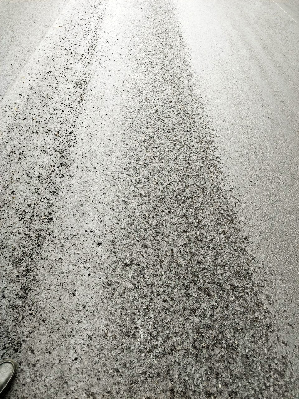 Deo Prenn Da Lat anh 3