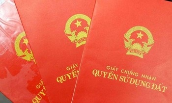 Khoi to nu giam doc dua giay to nha dat gia cho nha dau tu hinh anh