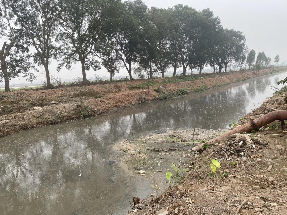 Ha Noi O nhiem anh 2