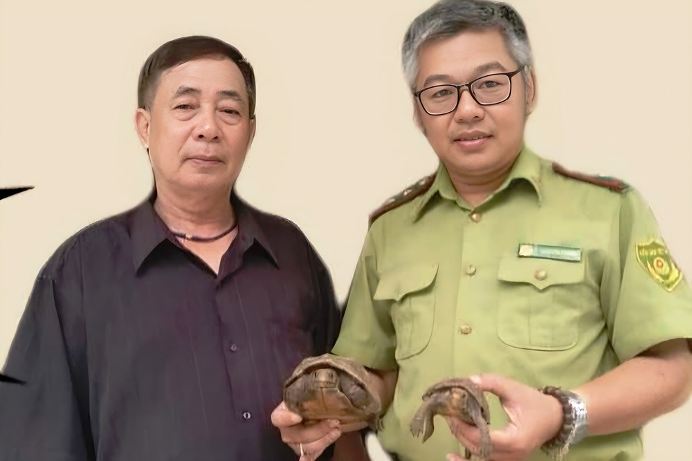 Phat hien rua sa nhan quy hiem lac vao vuon nha o Hue hinh anh