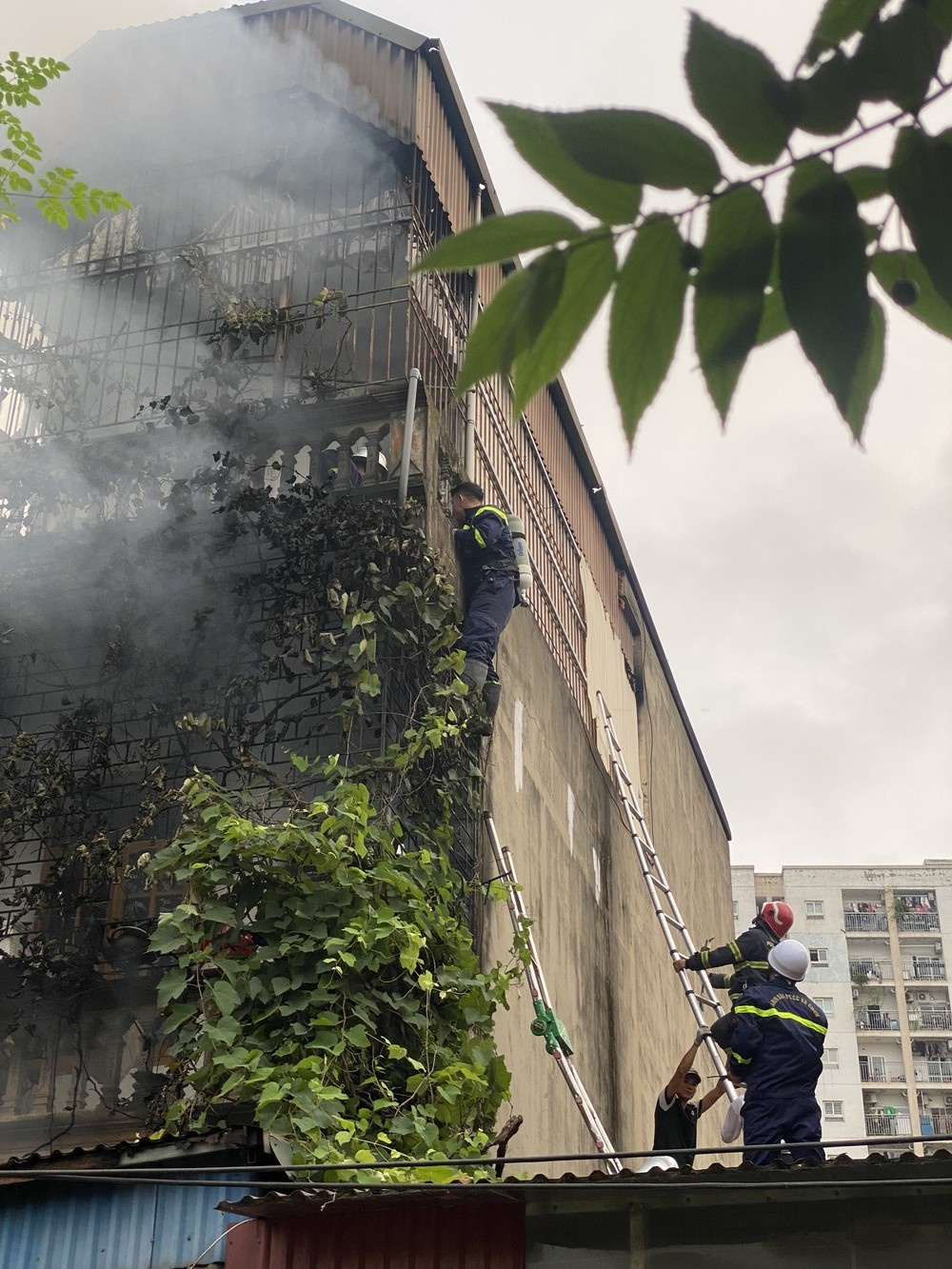 Nguoi hung chay Ha Noi anh 8