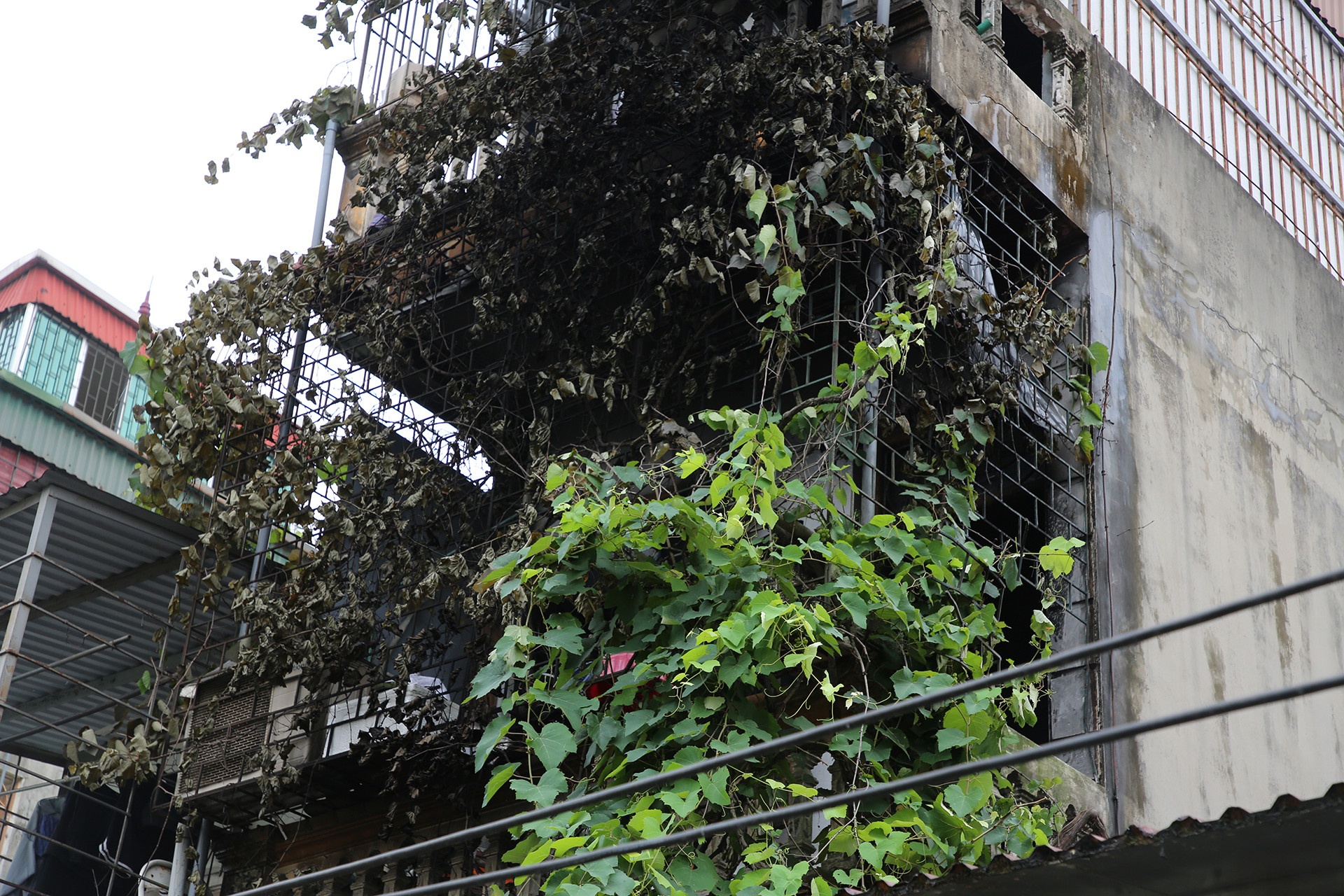 Chay nha tro Ha Dong anh 5