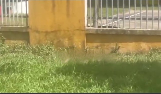 Phat hien thi the phan huy canh hang rao cong ty o Quang Nam hinh anh