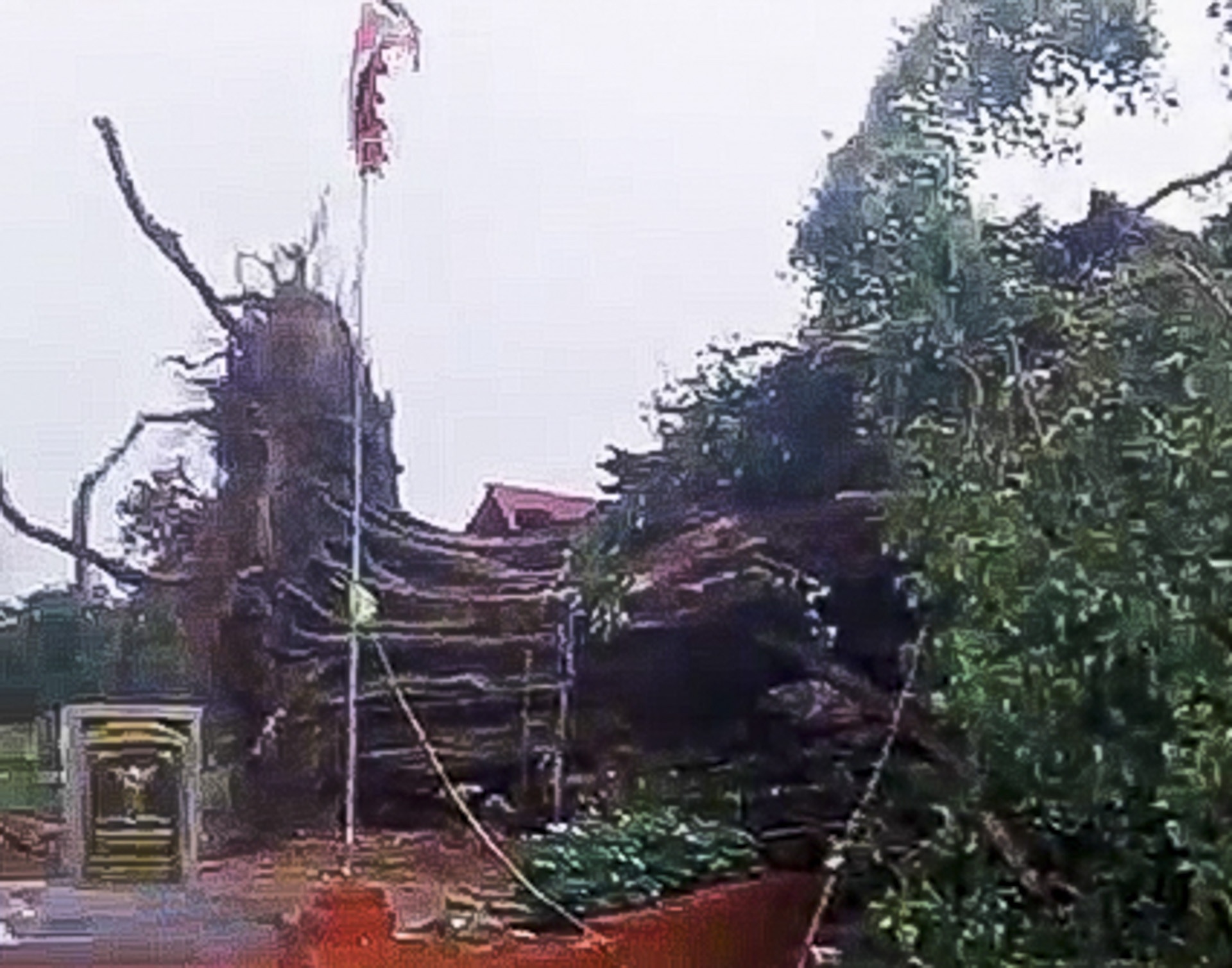 Gio to quat do cay bo de 300 nam tuoi o Hai Duong hinh anh