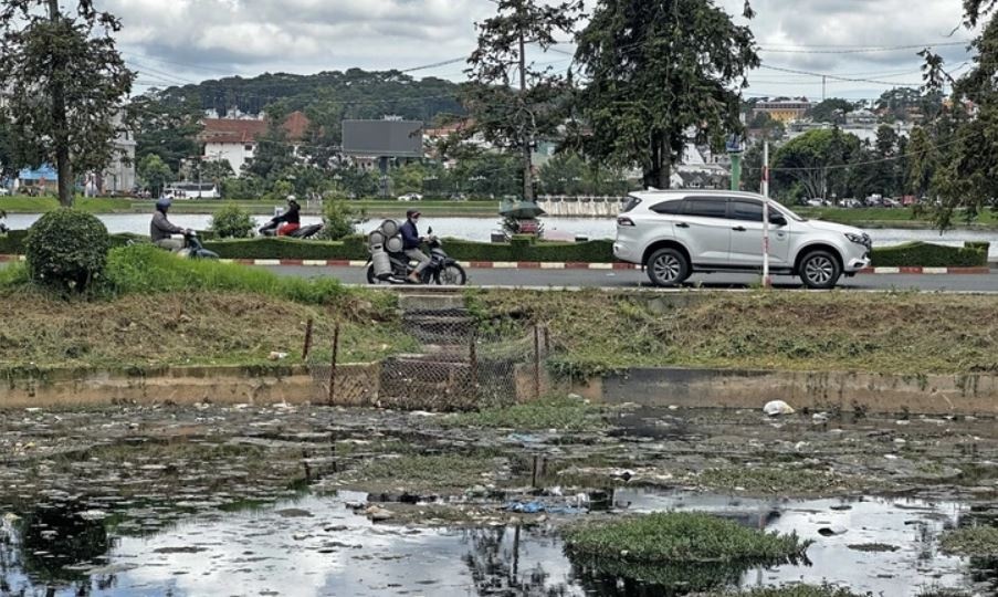 Khan truong khac phuc o nhiem quanh ho Xuan Huong o Da Lat hinh anh