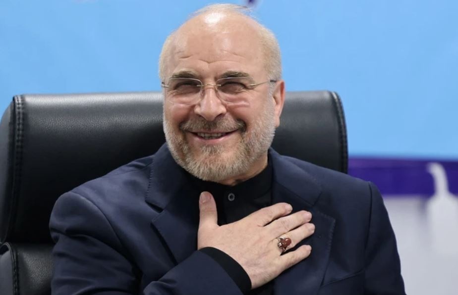 Chu tich Quoc hoi Tran Thanh Man chuc mung Chu tich Quoc hoi Iran hinh anh