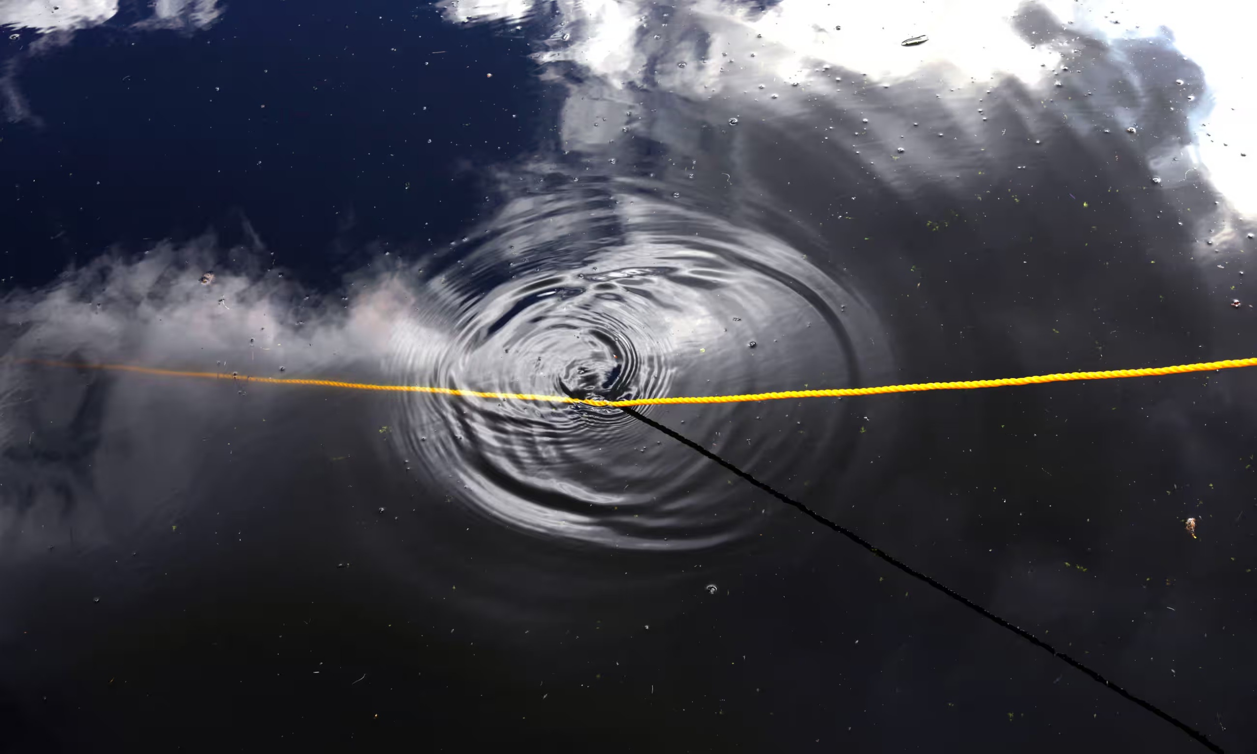 Cap doi tim thay ket sat duoi ho co 100.000 USD tien mat ben trong hinh anh