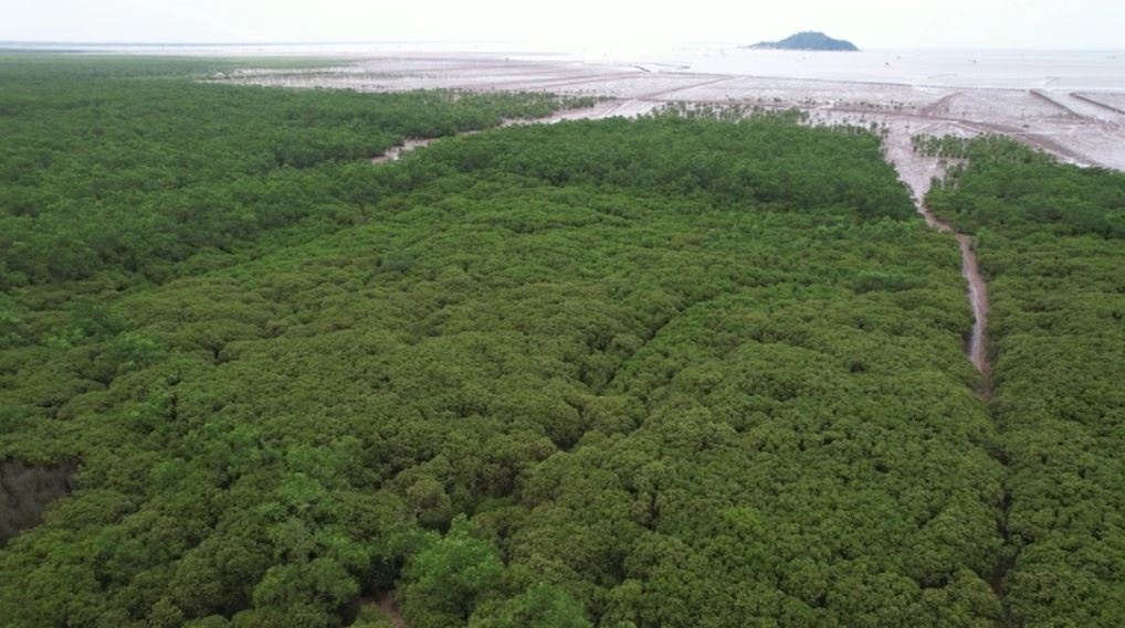 Moi truong The gioi anh 1