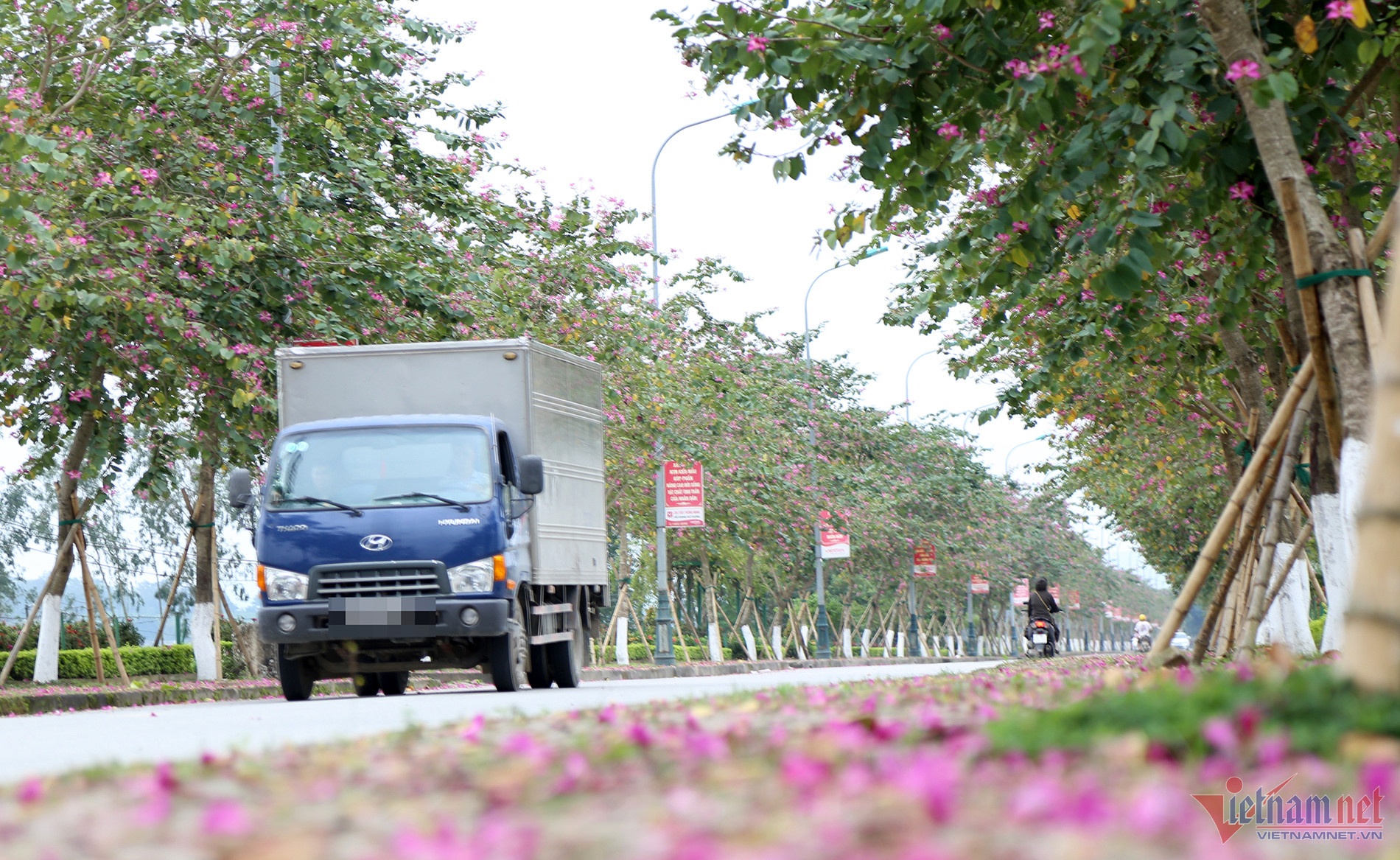 Nghe An Bo Cong an anh 2