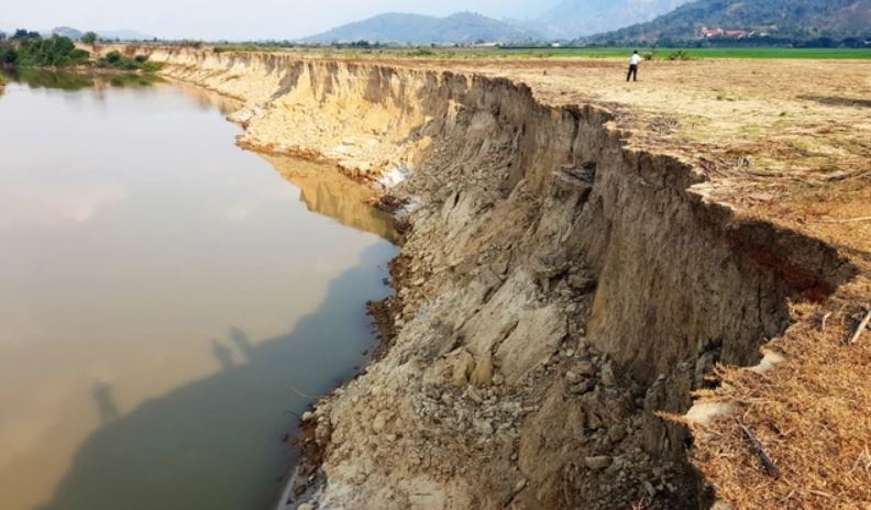 Ngay Moi truong The gioi: Phai hanh dong khan cap hinh anh