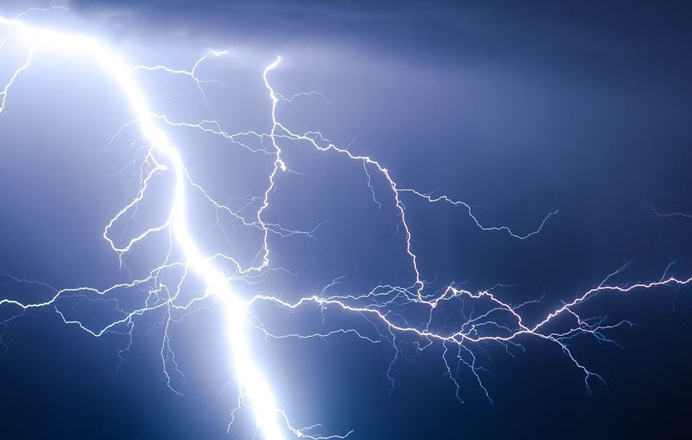 Co gai o Ha Noi di hai rau bi set danh nguy kich hinh anh