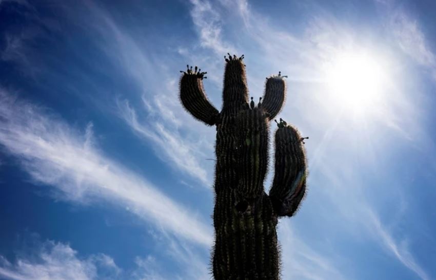 Vung Tay Nam nuoc My doi mat thoi tiet nang nong 'nguy hiem' hinh anh