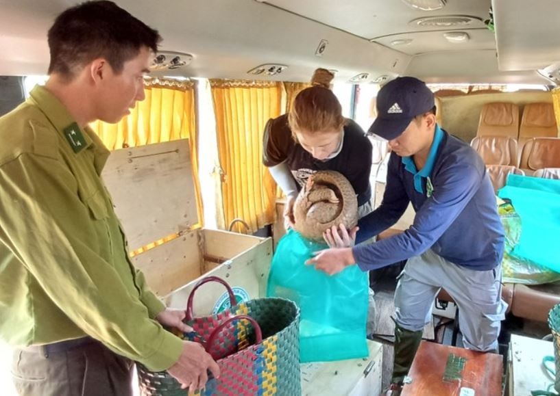 Tha 14 dong vat quy hiem ve rung hinh anh