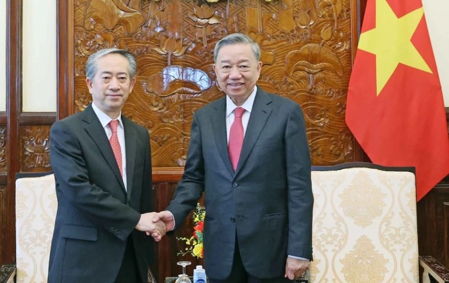 Chu tich nuoc To Lam tiep Dai su Trung Quoc tai Viet Nam hinh anh