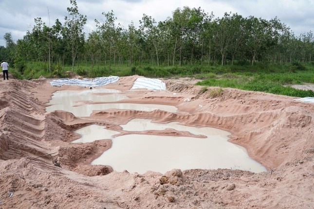 Cong ty Phuong Nam,  Long Thai Viet,  Binh Thuan,  Nguyen Thi Thuy Nga,  Tran Van Thuan anh 1