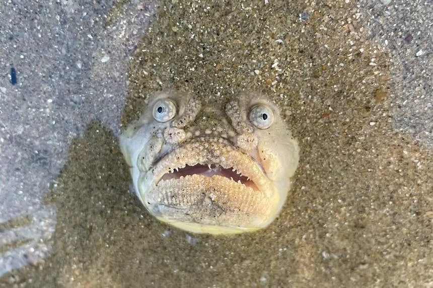 Buc anh hon 54 trieu luot xem hinh anh