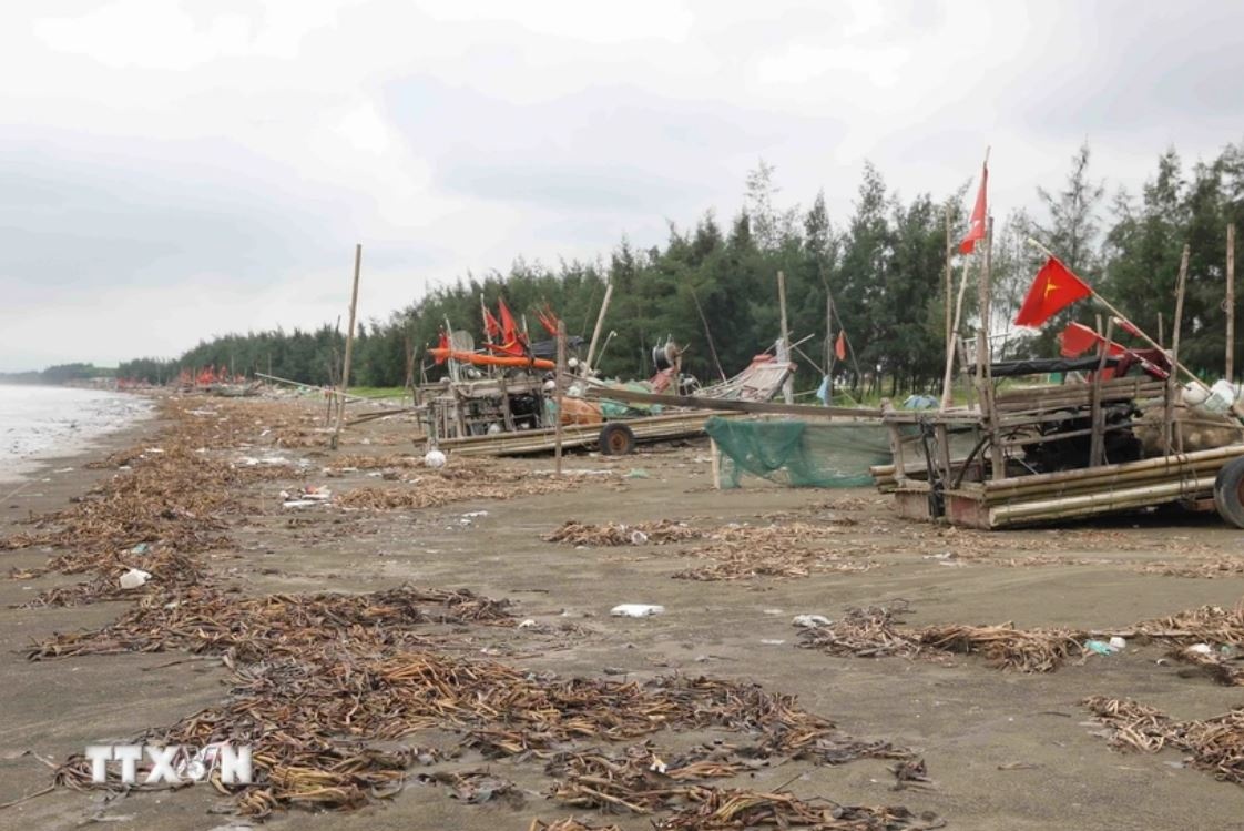 Nghe An bien Dien Chau anh 1