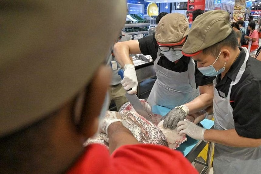 cá mú 100 kg ảnh 3 ca mu 100 kg anh 3