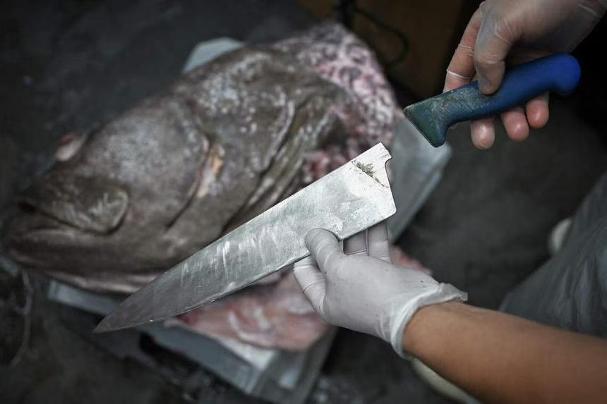 Gay dao khi phi le ca mu 100 kg giua sieu thi o Singapore hinh anh