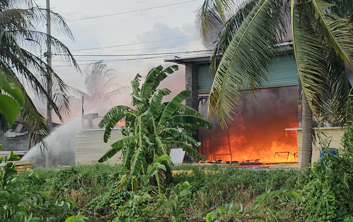 Chay Binh Chanh TP.HCM anh 3