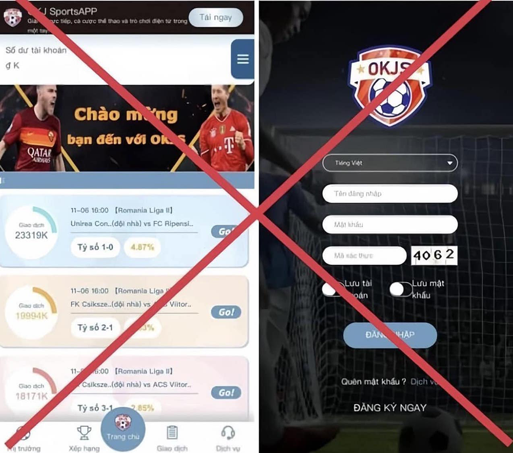 Cong an TP.HCM canh bao ve toi pham ca do, lua dao trong mua EURO 2024 hinh anh