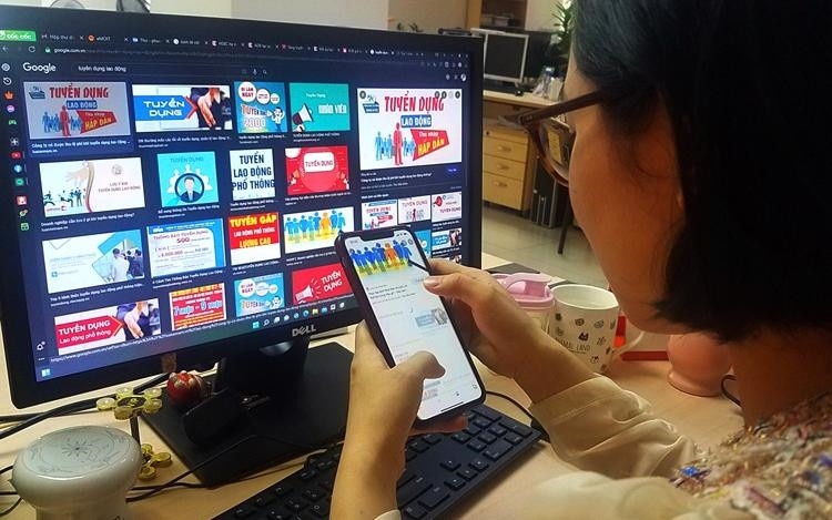 Ham tiền hoa hồng ảnh 1 Ham tien hoa hong anh 1