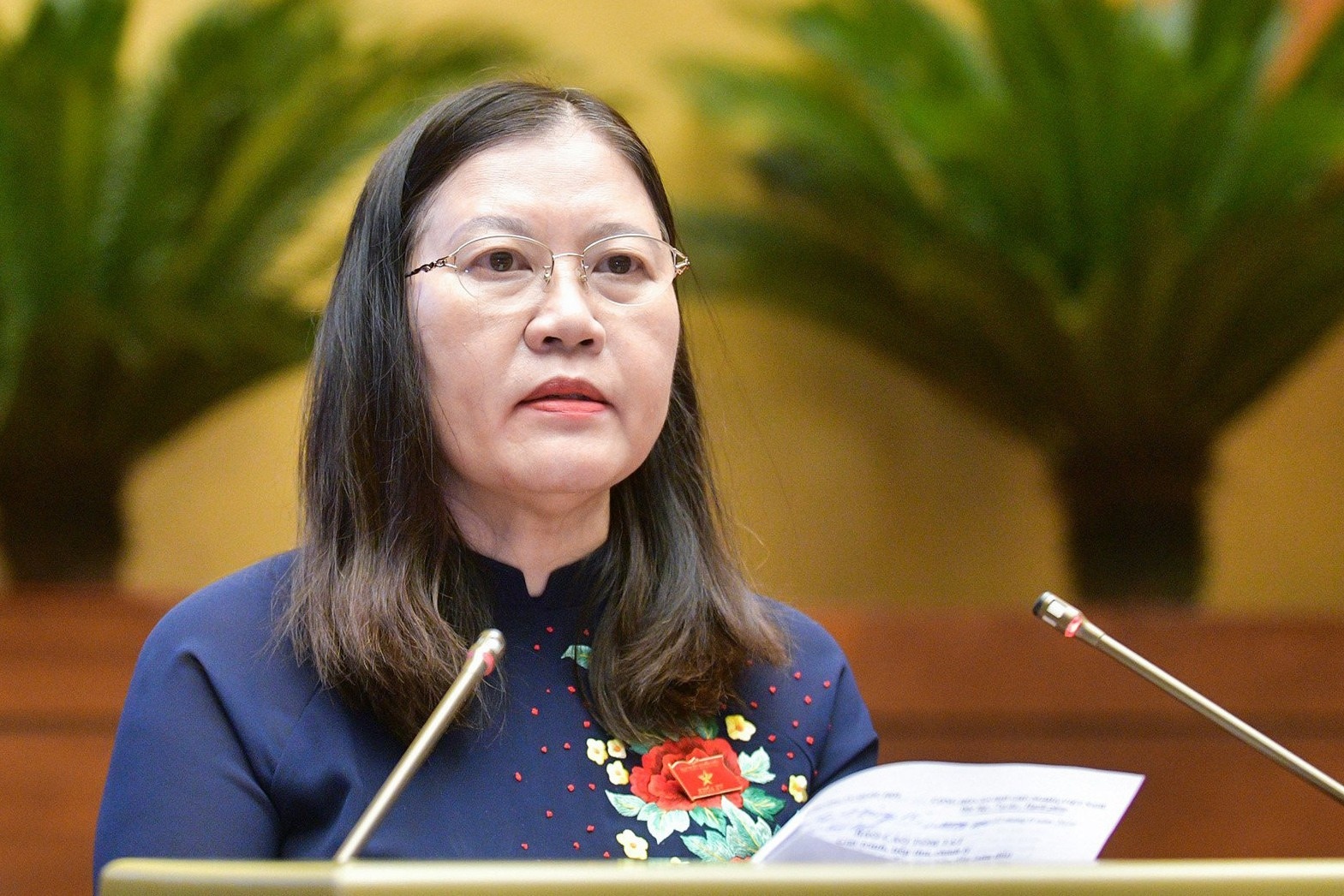 Quoc hoi Viet Nam anh 1