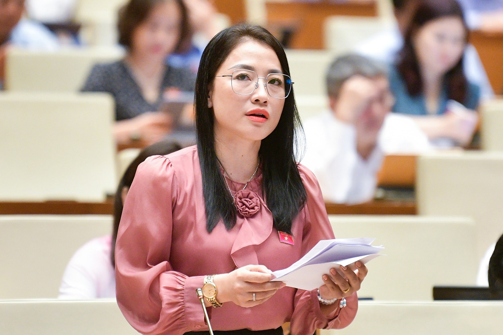 Dai bieu Quoc hoi de xuat xu ly hinh su voi hanh vi mua ban thai nhi hinh anh