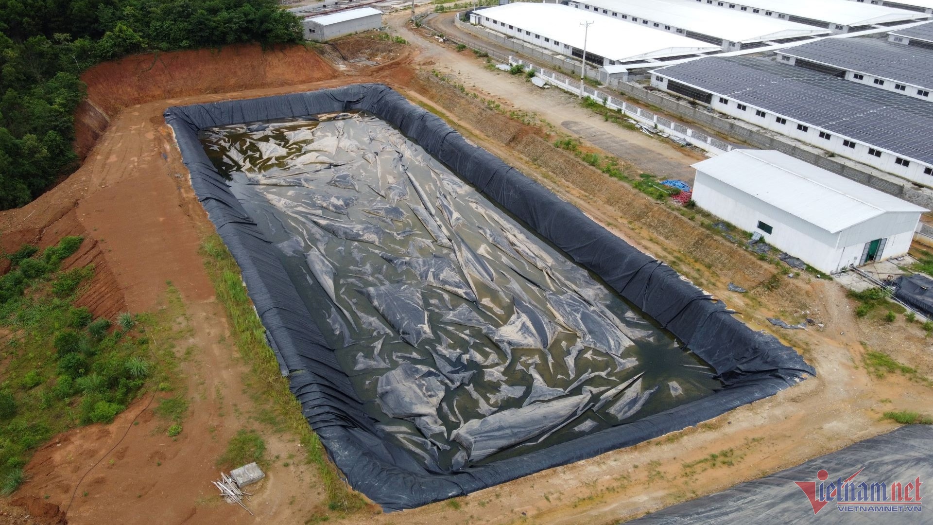 Trang trai lon Thanh Hoa anh 3