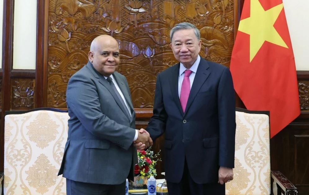 Chu tich nuoc To Lam: Viet Nam luon sat canh cung Cuba hinh anh