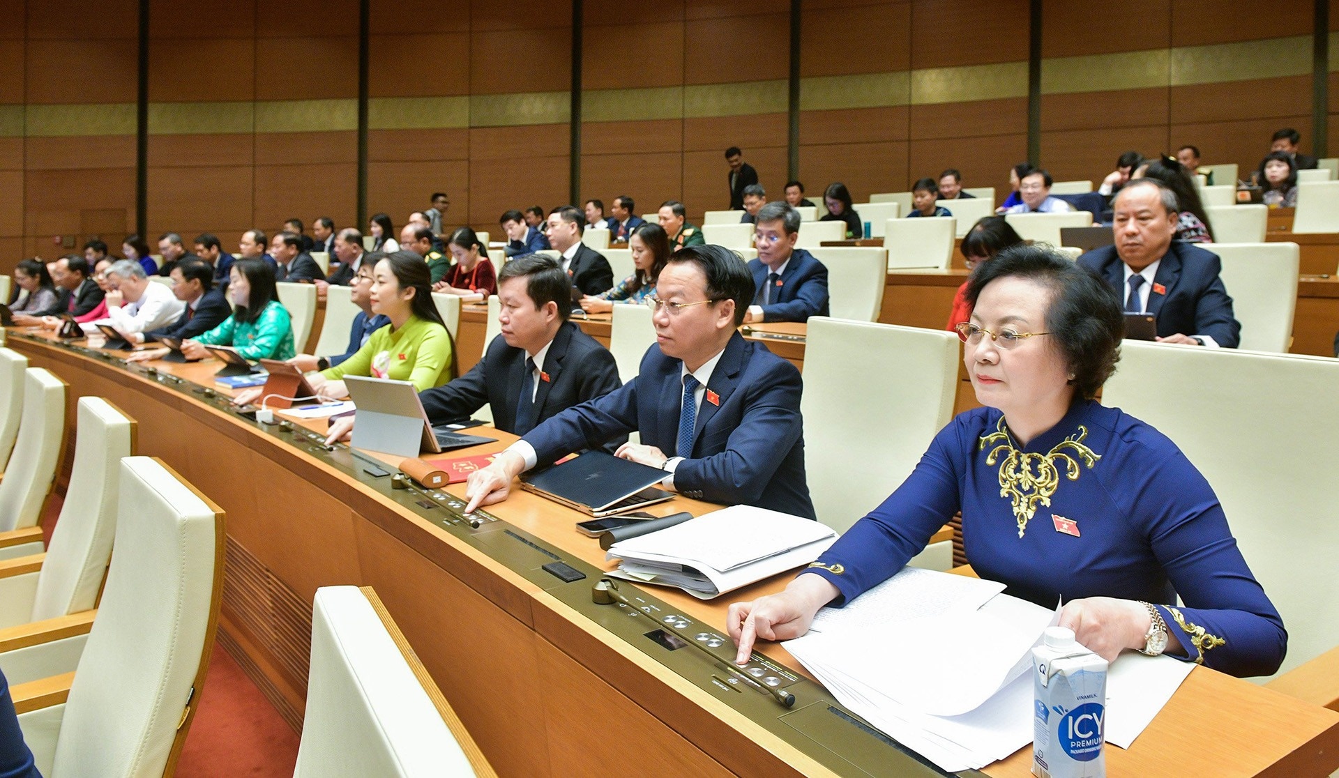 Quoc hoi dong y quy dinh 'dao co tinh sat thuong cao' la vu khi tho so hinh anh