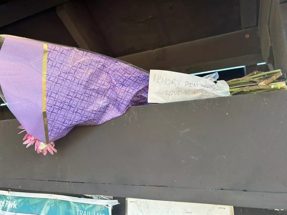 Diem Le Nguyen anh 2