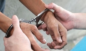 Giam doc Ban quan ly rung dac dung o Binh Dinh bi bat ve toi lua dao hinh anh