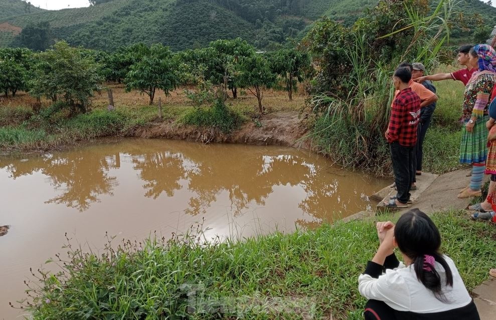 27 tre tu vong do duoi nuoc tai chinh ao, ho gia dinh o Dak Nong hinh anh