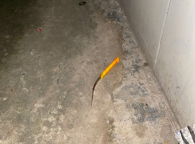 Sat hai chong,  Ban gai moi quen,  Le Truong Han anh 3