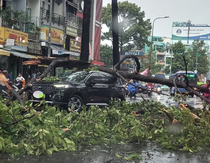 Rap cuoi bi xo do, canh cay gay de trung oto trong giong loc o TP.HCM hinh anh