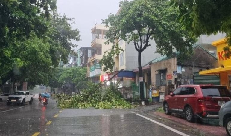 Bao Prapiroon suy yeu thanh ap thap nhiet doi hinh anh