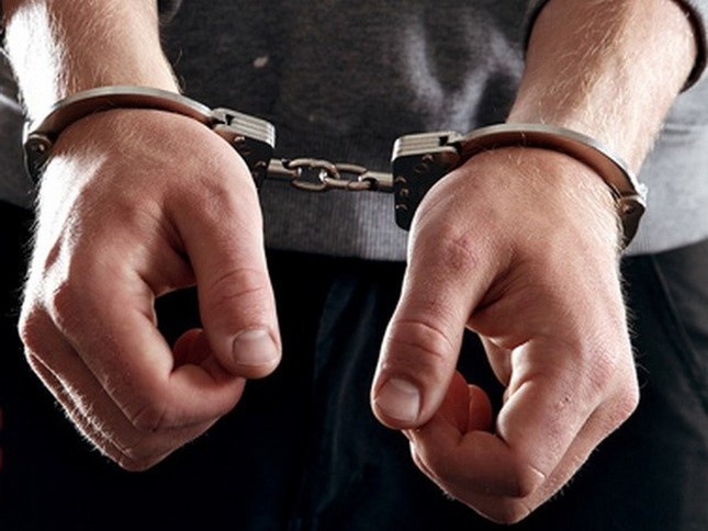 Cuu Chu tich HDQT Cong ty Cadovimex bi bat voi cao buoc lua dao hinh anh