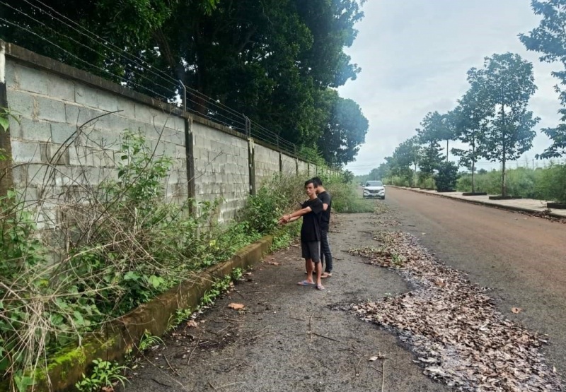 Dung keo cat chi,  Tran Hoang Nguyen anh 1