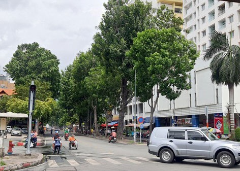 Nam thanh nien bi ke cuop giat keo le tren duong o TP.HCM hinh anh