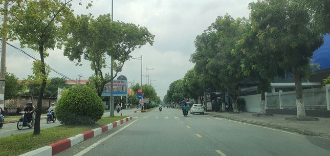 Bac Lieu bo sung bao cao gui CQDT Bo Cong an ve cac du an cay xanh hinh anh
