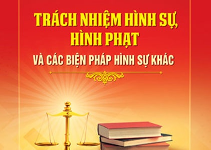 Trach nhiem hinh su, hinh phat va cac bien phap hinh su khac hinh anh