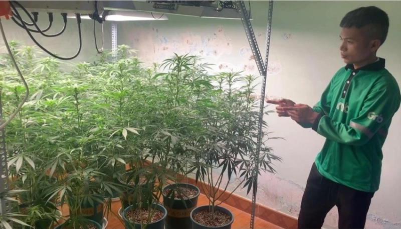 Thue nha,  Trong can sa anh 1