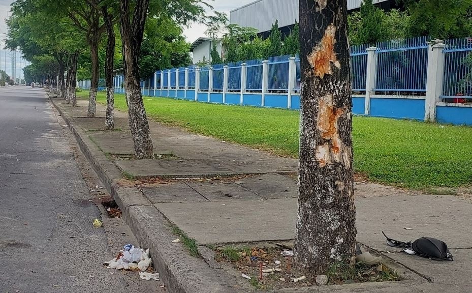 Lao xe vao goc cay, 3 co gai tu vong o Da Nang hinh anh