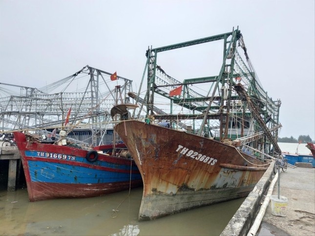 Bao sap vao Quang Ninh - Hai Phong, gio giat cap 13 hinh anh