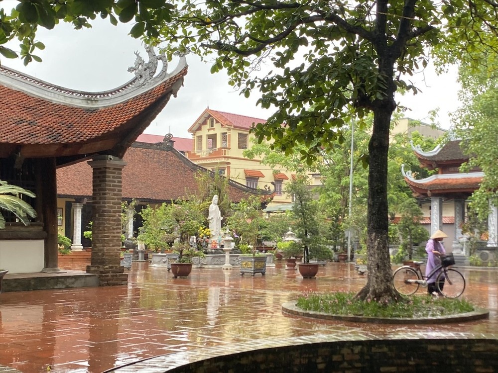 Nguyen Phu Trong anh 3