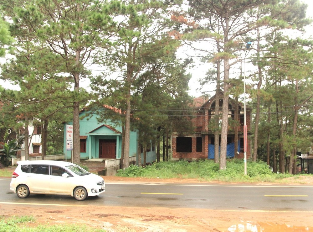 Thu hoi 39 vi tri dat xay biet thu trai quy dinh o Mang Den hinh anh